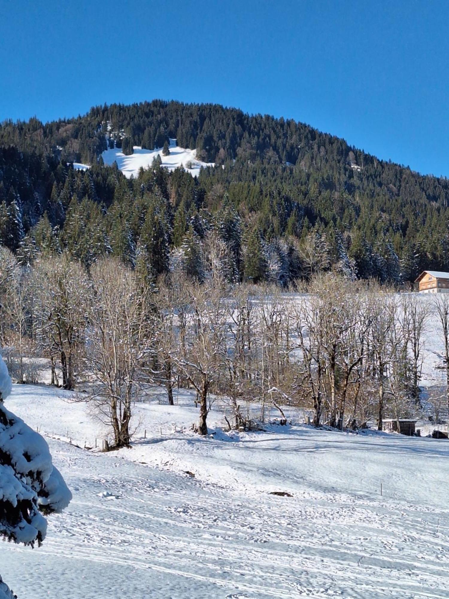 Apartmán Bergliebe Kierwang Exteriér fotografie
